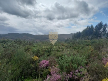 Terreno para Venda em Recarei