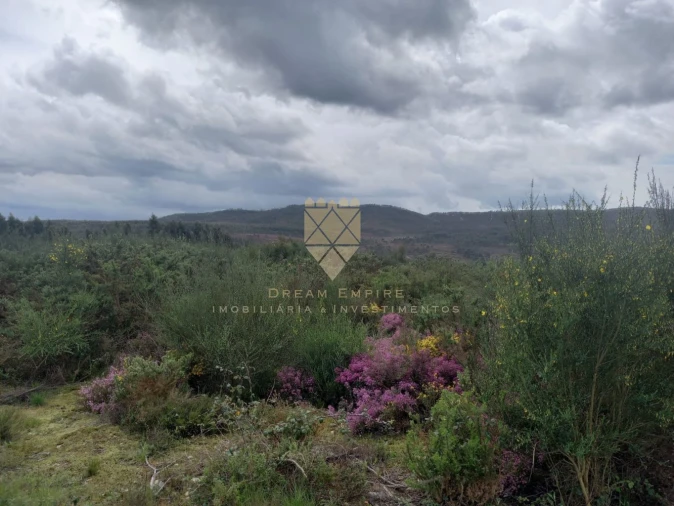 Terreno para Venda em Recarei Foto 7