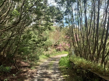 Moradia T3 para Venda em Recarei