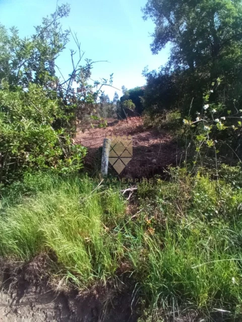 Moradia T3 para Venda em Recarei
