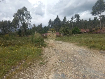 Moradia T3 para Venda em Recarei