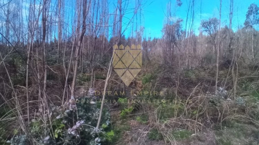 Terreno para Venda em Lagares e Figueira