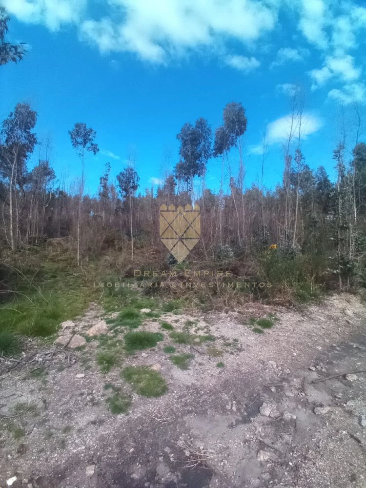 Terreno para Venda em Lagares e Figueira Foto 3
