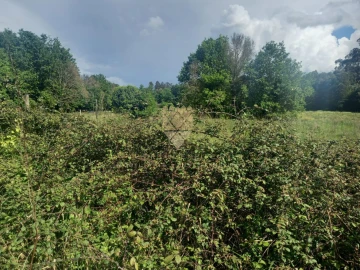 Terreno para Venda em Recarei