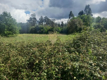 Terreno para Venda em Recarei