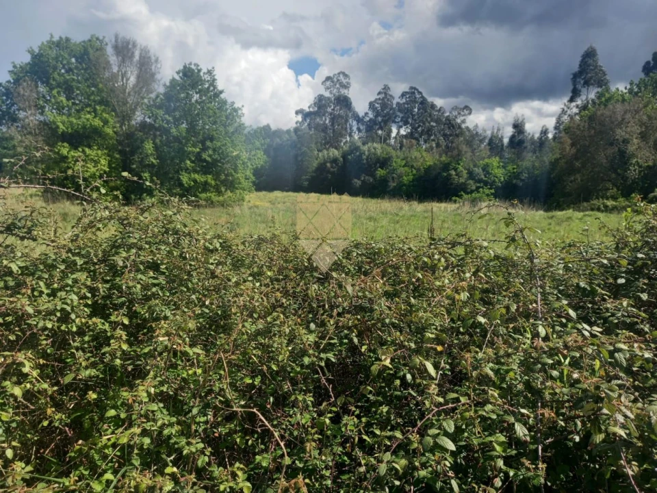 Terreno para Venda em Recarei Foto 8