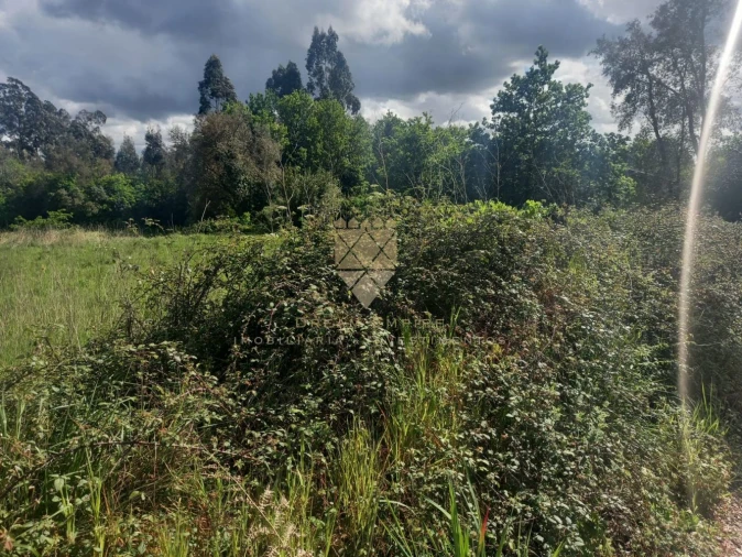 Terreno para Venda em Recarei Foto 4