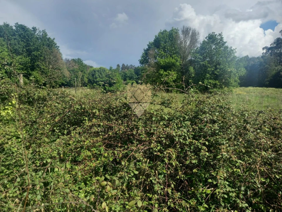 Terreno para Venda em Recarei Foto 6
