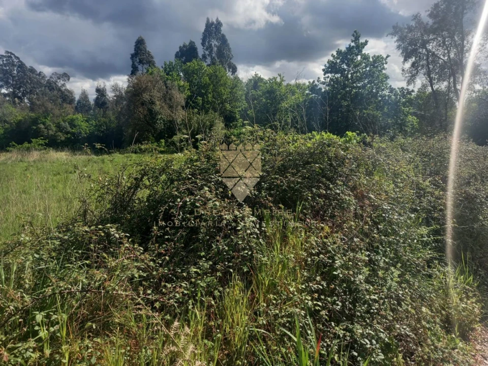 Terreno para Venda em Recarei Foto 4