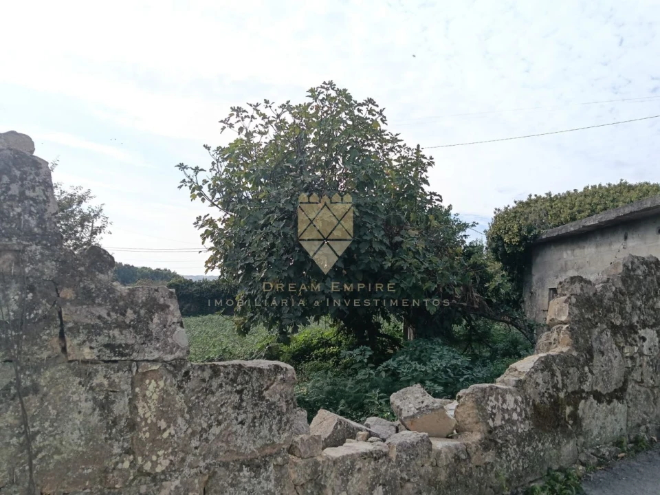 Terreno para Venda em Lodares Foto 6