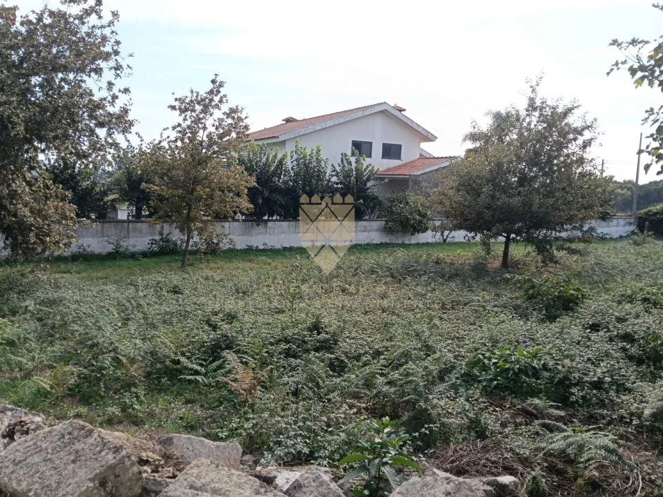 Terreno para Venda em Lodares Foto 5