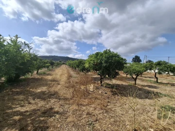 Terreno para Venda em Quinta do Anjo