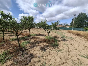 Terreno para Venda em Quinta do Anjo