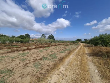 Terreno para Venda em Quinta do Anjo