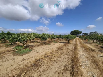 Terreno para Venda em Quinta do Anjo