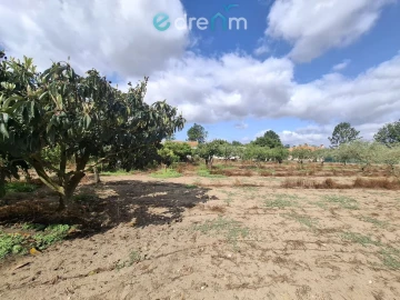 Terreno para Venda em Quinta do Anjo
