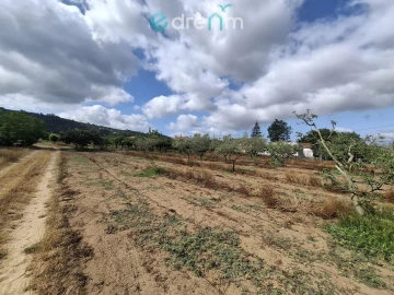 Terreno para Venda em Quinta do Anjo