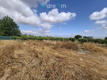 Terreno para Venda em Quinta do Anjo