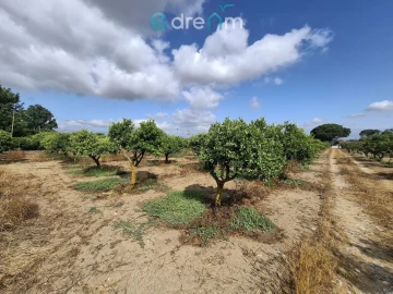Terreno para Venda em Quinta do Anjo