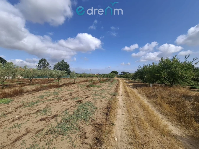 Terreno para Venda em Quinta do Anjo Foto 18