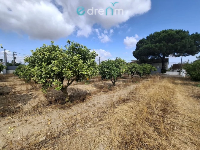 Terreno para Venda em Quinta do Anjo Foto 9