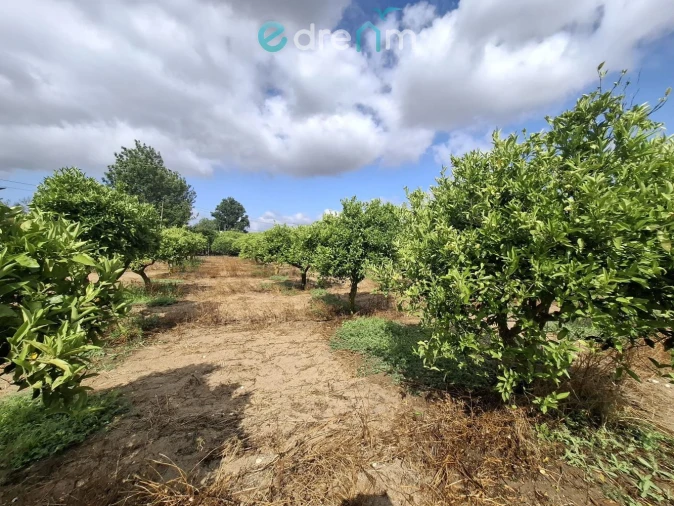 Terreno para Venda em Quinta do Anjo Foto 12