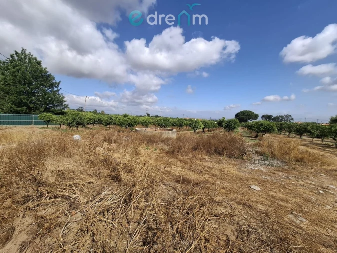 Terreno para Venda em Quinta do Anjo Foto 14