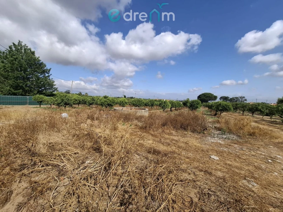 Terreno para Venda em Quinta do Anjo Foto 14