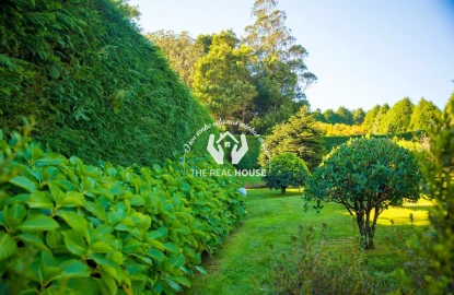 Quinta T3 para Venda em Santo Antonio da Serra