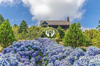 Quinta T3 para Venda em Santo Antonio da Serra