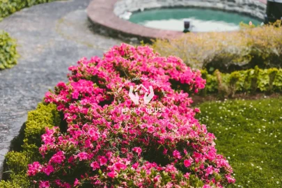 Quinta T3 para Venda em Santo Antonio da Serra