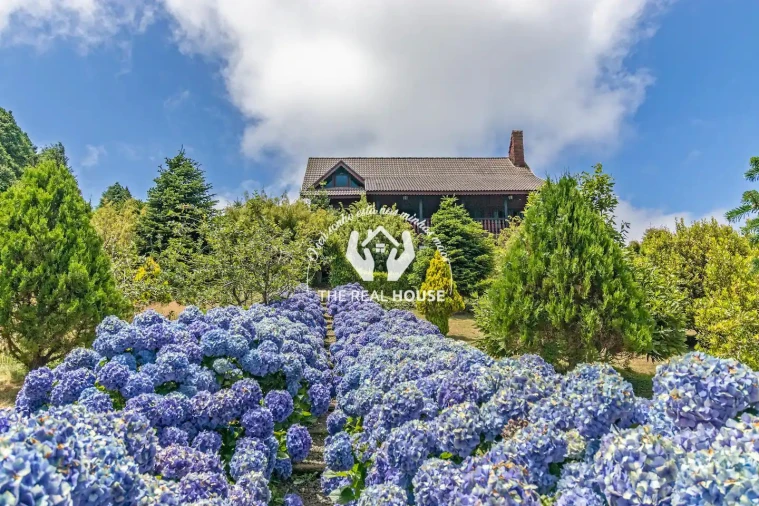Quinta T3 para Venda em Santo Antonio da Serra Foto 14