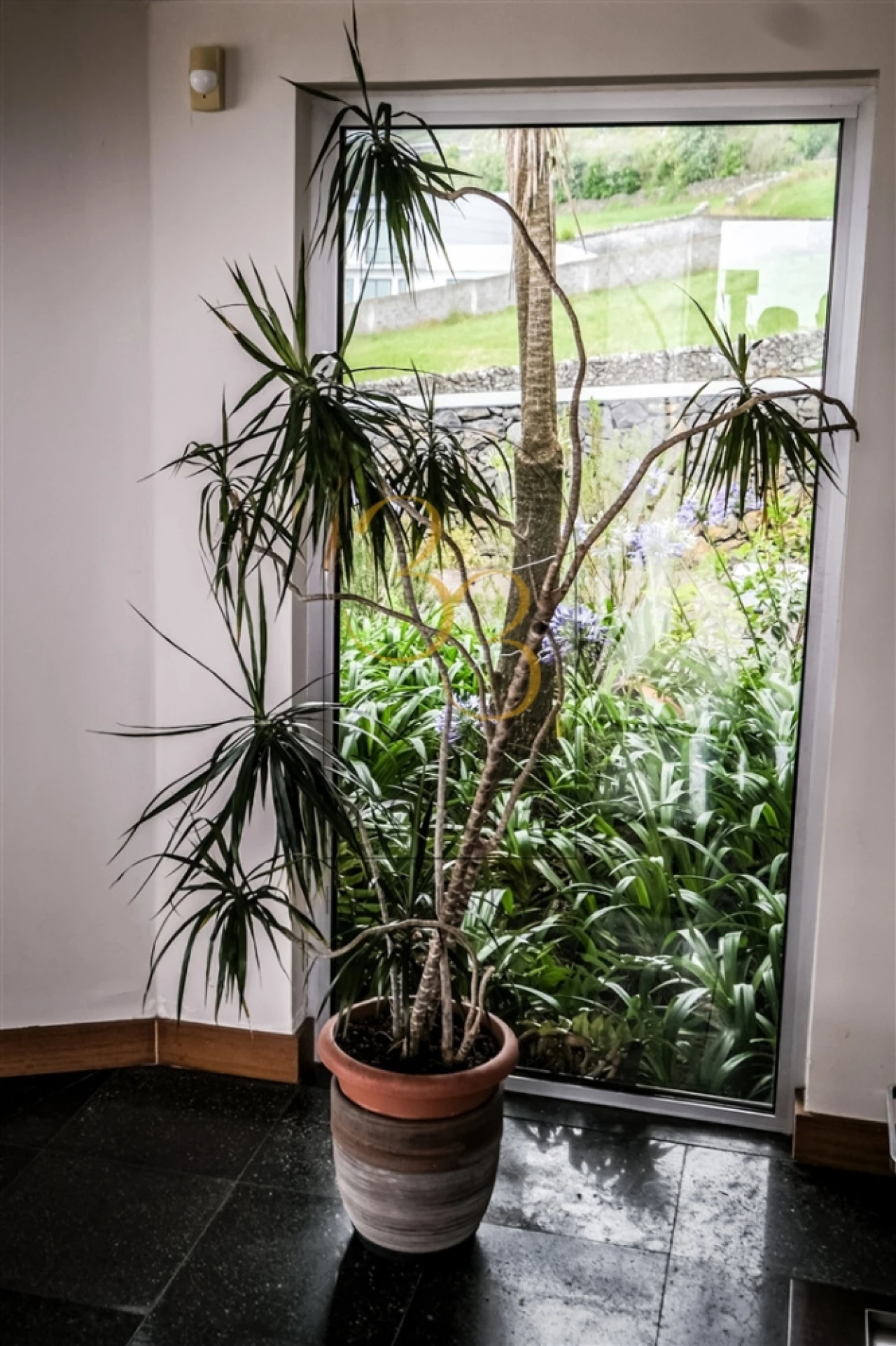 Moradia T4 para Venda em Feteira Foto 44