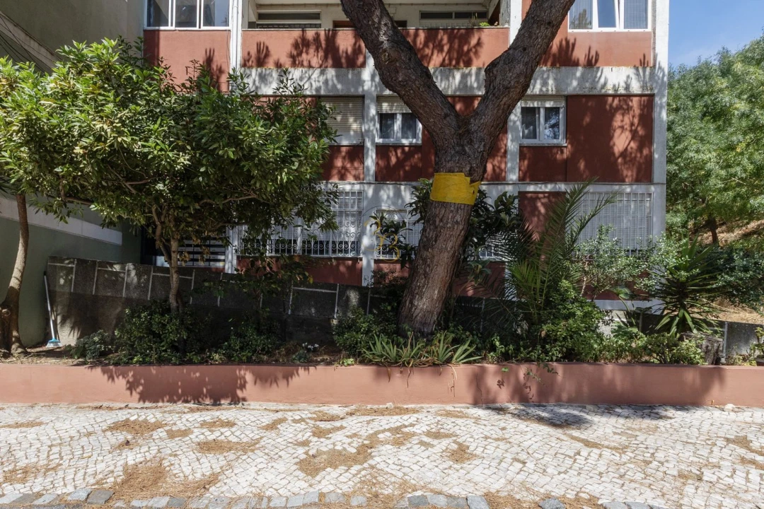 Apartamento T3 para Venda em Alvalade Foto 44