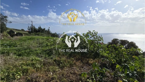Terreno para Venda em Calheta