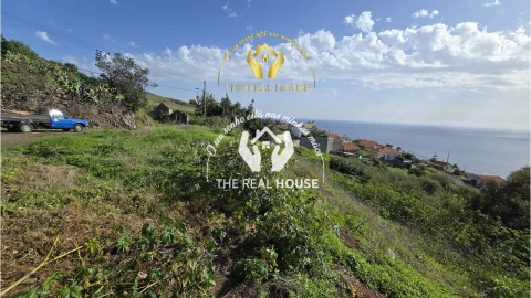 Terreno para Venda em Calheta