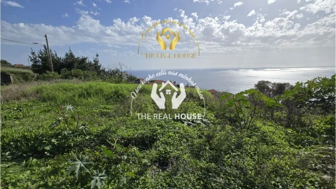 Terreno para Venda em Calheta