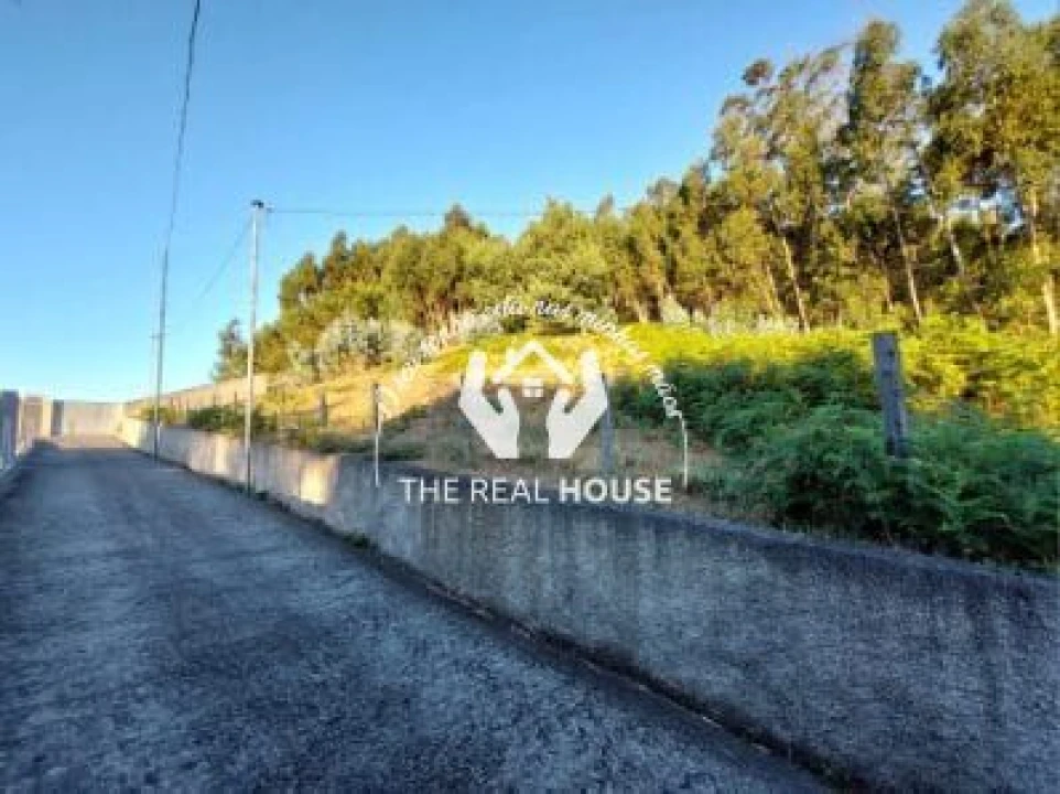 Terreno para Venda em Camacha Foto 4