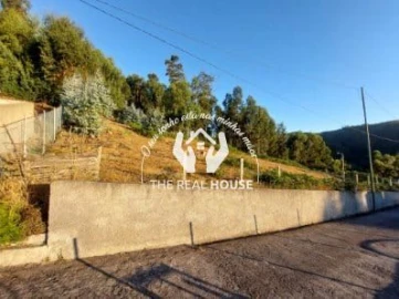 Terreno para Venda em Camacha