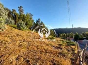 Terreno para Venda em Camacha