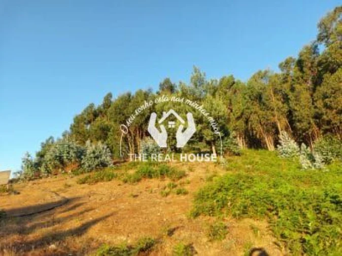 Terreno para Venda em Camacha Foto 2