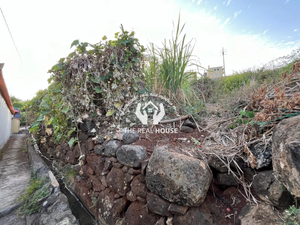 Terreno para Venda em Santa Cruz Foto 7
