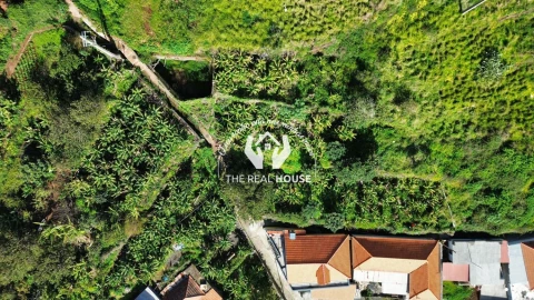 Terreno para Venda em Santa Cruz