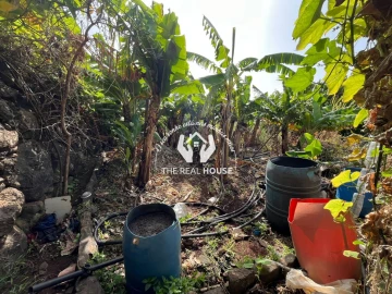 Terreno para Venda em Santa Cruz