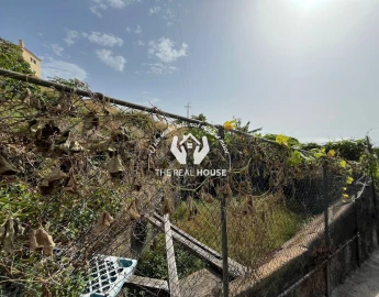 Terreno para Venda em Santa Cruz