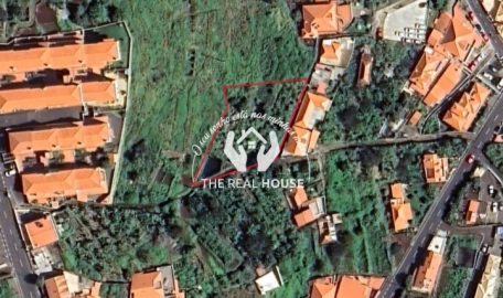 Terreno para Venda em Santa Cruz