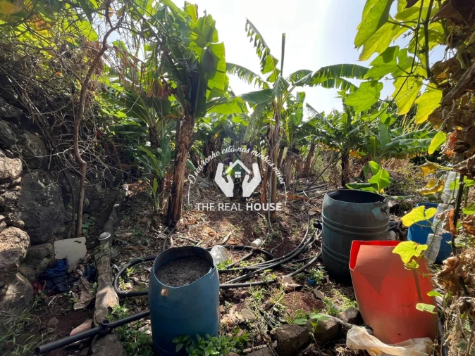 Terreno para Venda em Santa Cruz Foto 4