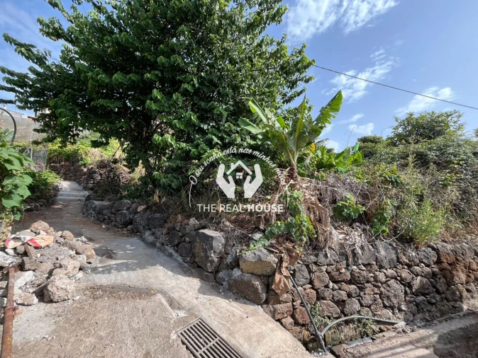 Terreno para Venda em Santa Cruz Foto 3