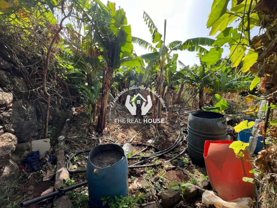 Terreno para Venda em Santa Cruz Foto 4