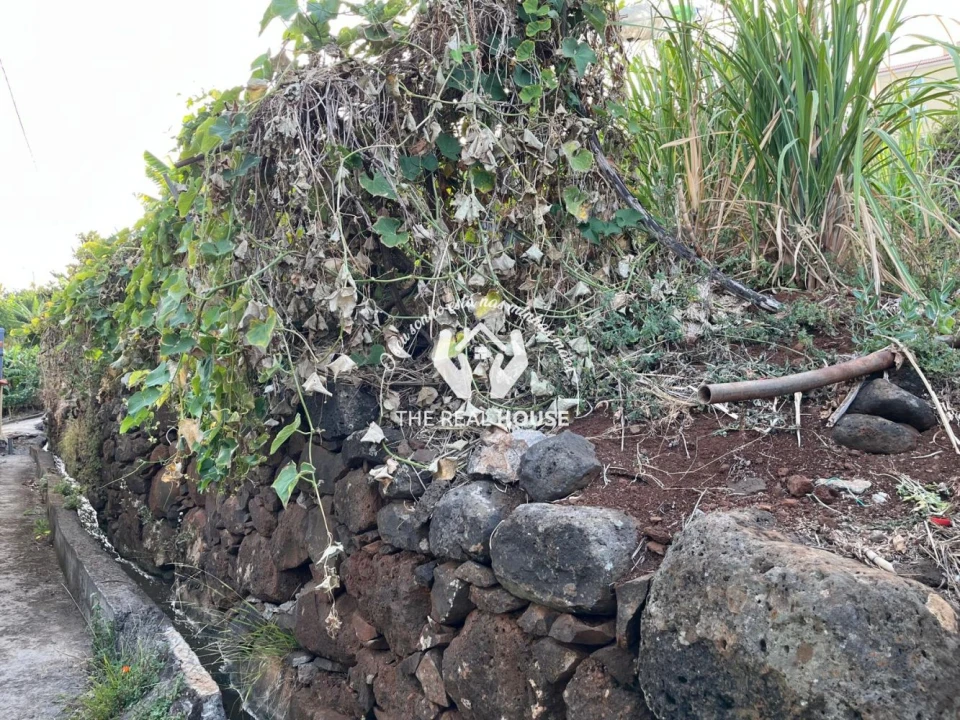 Terreno para Venda em Santa Cruz Foto 6